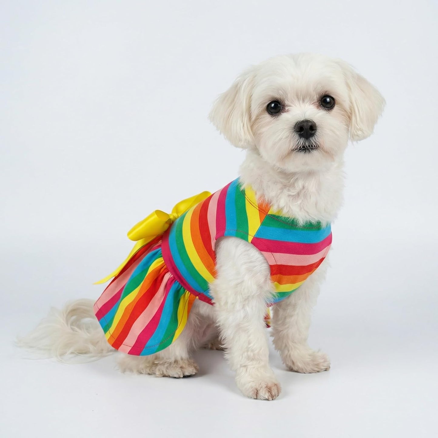 Rainbow Striped Dog Dress, Summer Dog Clothes for Small Dogs Girl, Pet Cat Outfit, 100% Breathable Cotton, Red Yellow Blue, Small