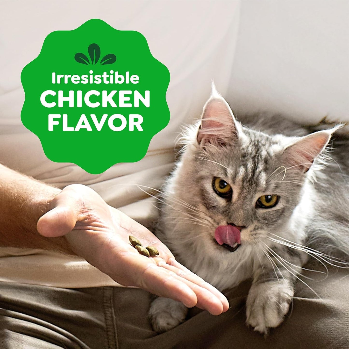Greenies Feline Smartbites, Cat Treats Healthy Recipe, Indoor Cat Treats, Chicken Flavor, 16 Oz. Tub