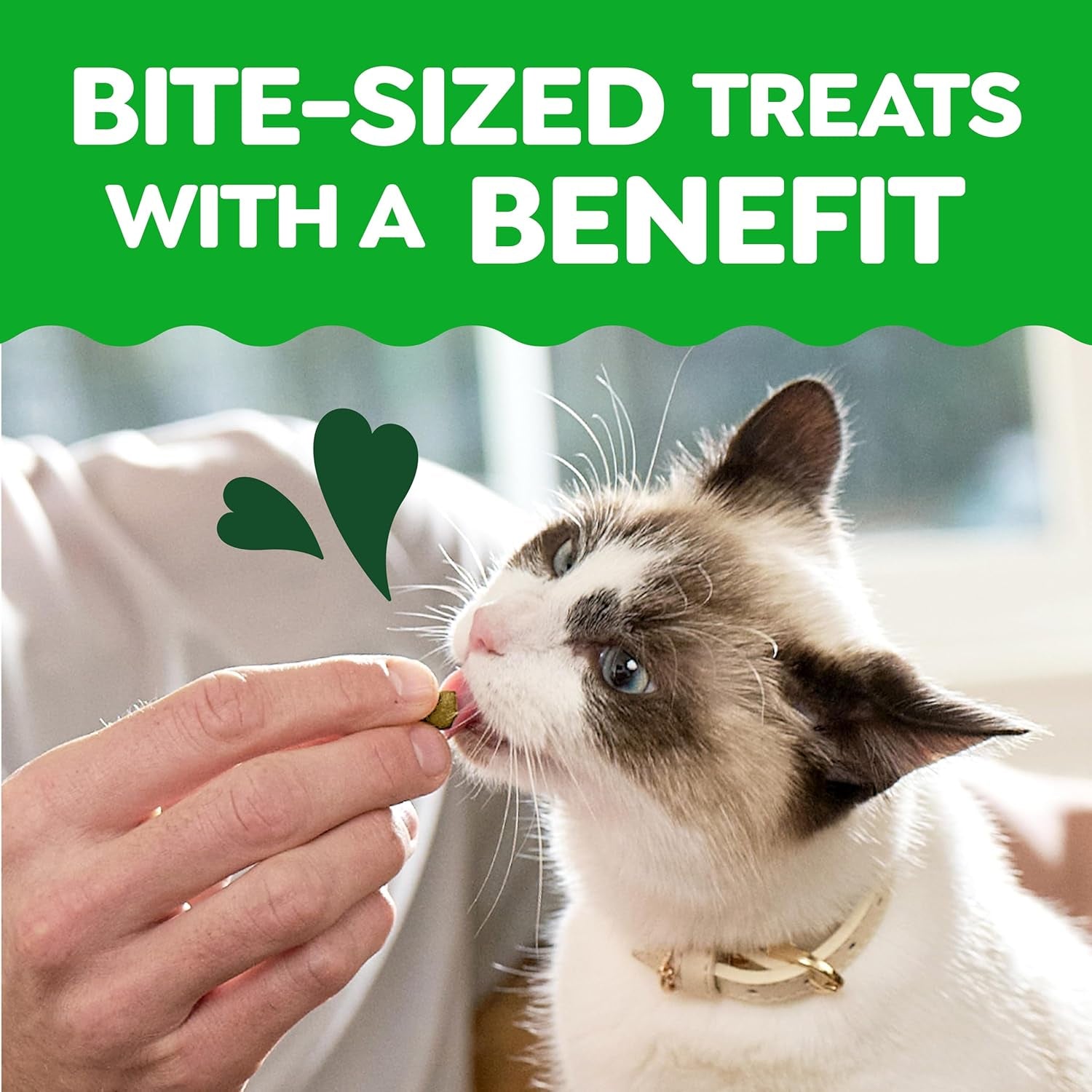 Greenies Feline Smartbites, Cat Treats Healthy Recipe, Indoor Cat Treats, Chicken Flavor, 16 Oz. Tub