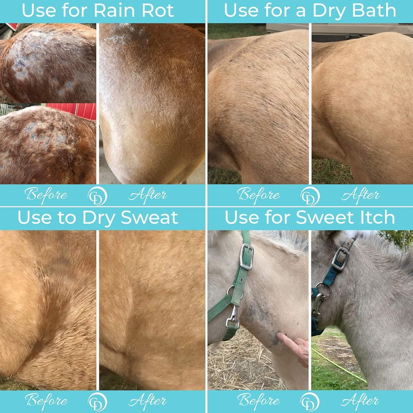 Daily Preventative Powder & Rain Rot Treatment for Horses | Safe & Effective Equine Sweet Itch, Skin Funk, Scratches | Dry Horse Shampoo, 64 Oz. | All Natural Ingredients