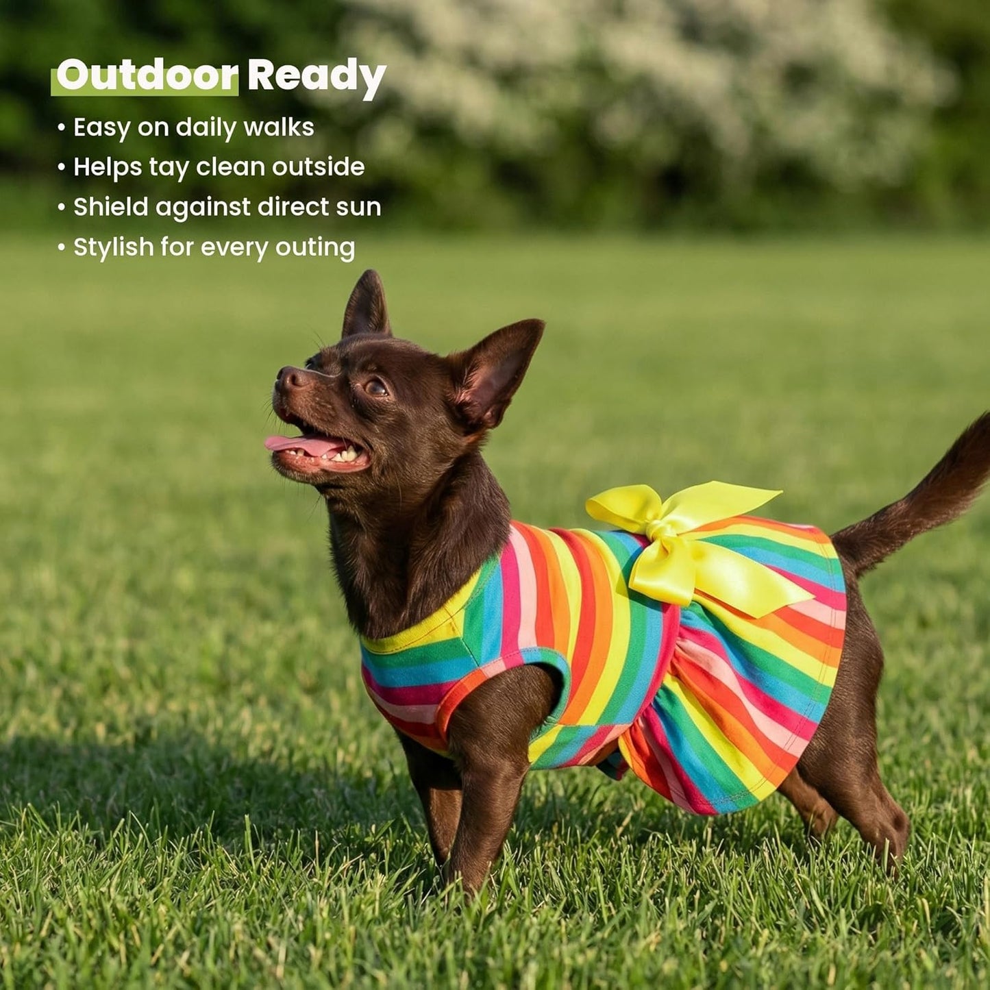 Rainbow Striped Dog Dress, Summer Dog Clothes for Small Dogs Girl, Pet Cat Outfit, 100% Breathable Cotton, Red Yellow Blue, Small