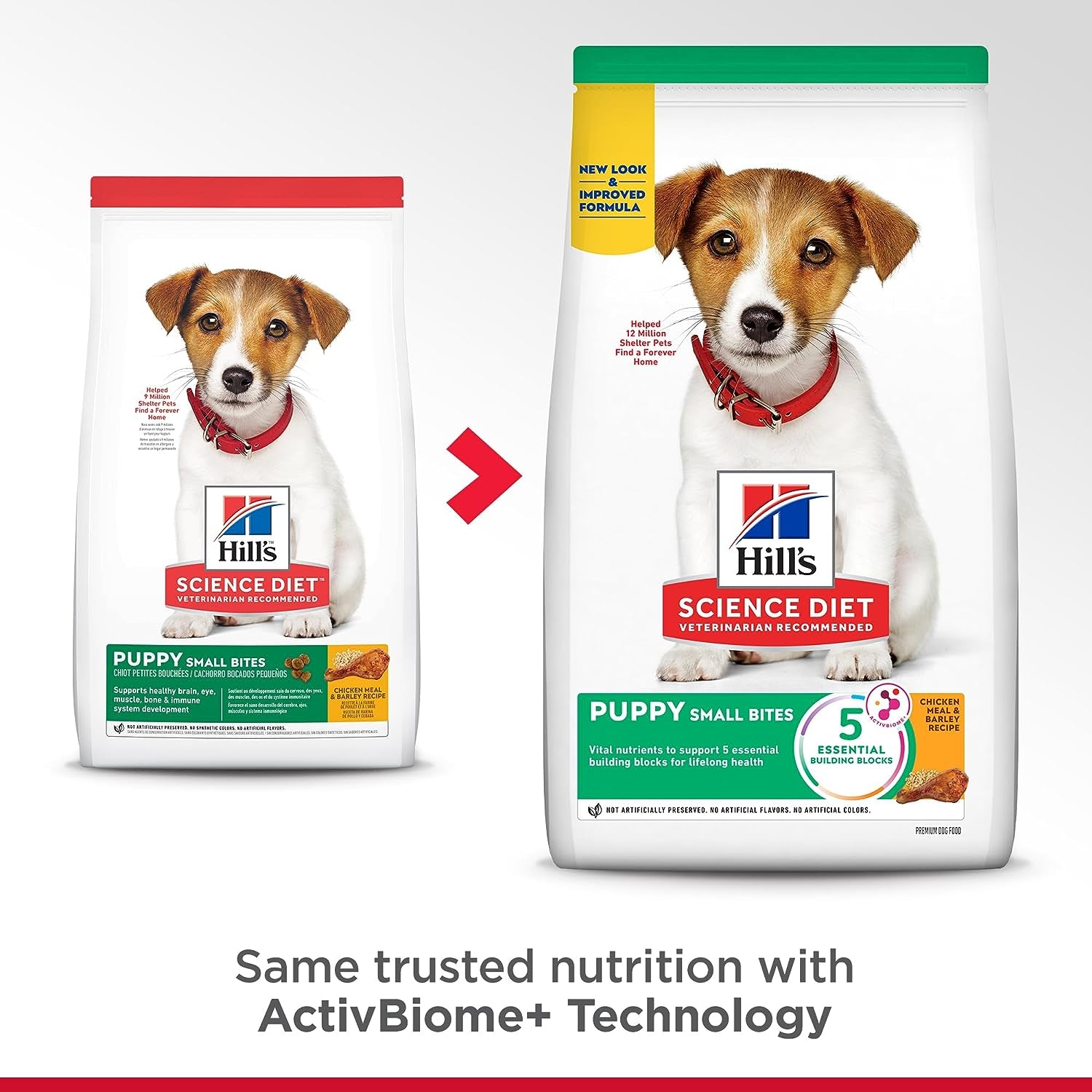 Hill'S Science Diet Dry Dog Food, Puppy, Small Bites, Chicken Meal & Barley Recipe, 15.5 Lb. Bag